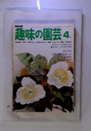NHK趣味の園芸　1977年4月号