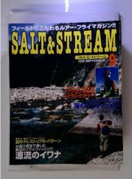 SALT & STREAM　ソルト&ストリーム　1995年9月　