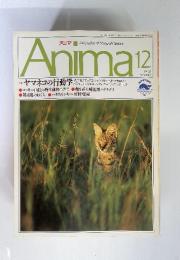 Animal　1992年12月　No.243