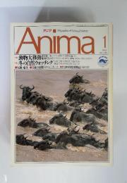 Anima　1993.1　No.244