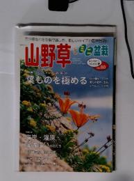 山野草とミニ盆栽　偶数月隔月刊 2008初夏　 VOL. 68