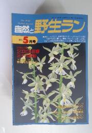 自然と野生ラン　1995年5月号