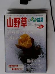 山野草と ミニ盆栽　2008新春 VOL. 65