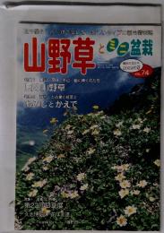 山野草と三二盆栽　Vol. 74