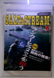 SALT＆STREAM　2002年6月号　ランカーヒラメのみを狙う