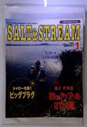 SALT&STREAM　（ソルト&ストリーム）　2001年1月号