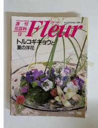 Fleur　フルール13　1995年6月1日号