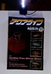 アクアライフ AquaLife　1995年11月号　NO. 196