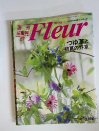 Fleur　1996年　7/4　号