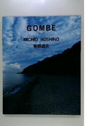 GOMBE ゴンベ MICHIO HOSHINO 星野道夫