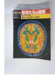 週刊朝日百料　動物たちの地球　96　脳の仕組みと働き