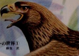 児童心理10 No. 684　1997年6月号