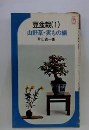 豆盆栽(1)　山野草・実もの編