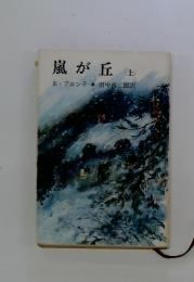 嵐が丘　上