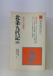 北条九代記 中