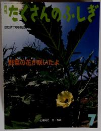たくさんのふしぎ　2003年7月号　島菜の花が咲いたよ