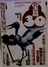 宝島　30　1995年1月号　通巻20号