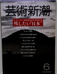芸術新潮　1986年6月