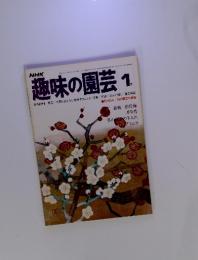 趣味の園芸　1977年1月