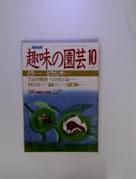 趣味の園芸　1988年　10月号