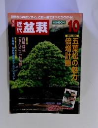 盆栽　2005年10月