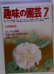 NHK趣味の園芸　7月　 ヘメロカリス