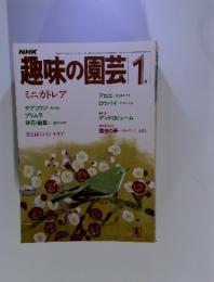 NHK趣味の園芸　1985年1月号