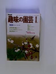 NHK趣味の園芸　1984年1月号