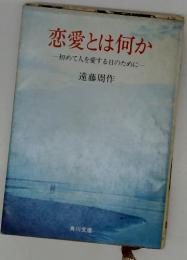 恋愛とは何か　一初めて人を愛する日のために一