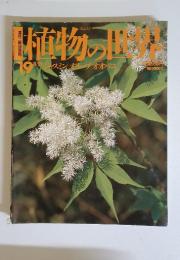 植物の世界　19　8/21　ジャスミンオリーブオオバコ