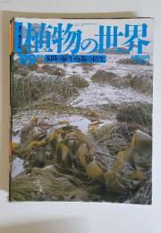 植物の世界　1996年8月号