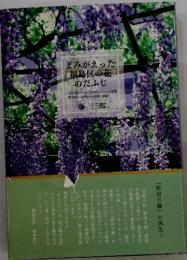 よみがえった「福島区の花 のだふじ