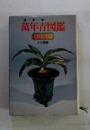 萬年青図鑑　OMOTO