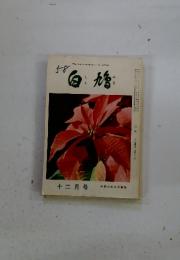白鳩　12月号