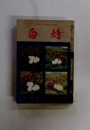 白鳩　昭和51年10月
