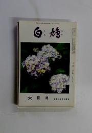 白鳩 六月号