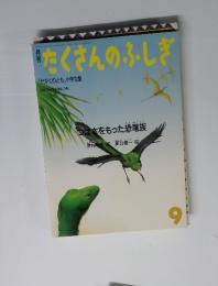 たくさんのふしぎ　1987年9月号 (通巻30号)