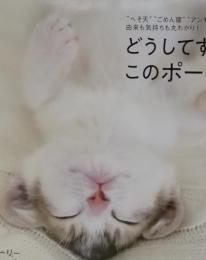 cat's heart ねこのきもち