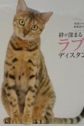 ねこのきもち　２０２２年１１月 vol.210