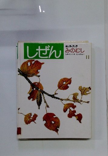 Amazon.co.jp: 暮らしの365日生活歳時記 : 樋口清之: 本