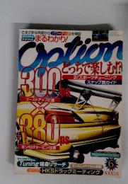 Option　6月号　300 ブーストアップ仕様