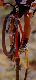For Bikers Only Cycle Sports 1996年6月号