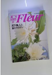 Fleuｒ　１９９５年　7月号