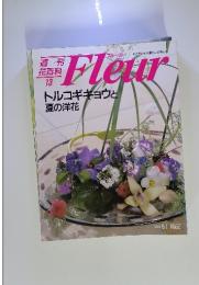 Fleur　1995年6月1日号