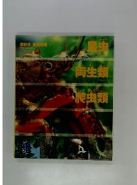 昆虫　両生類　爬虫類