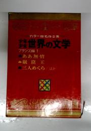カラー版名作全集 世界の文学