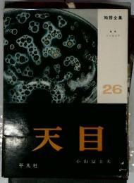 天目