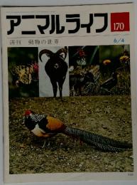 アニマルライフ　170　週刊 動物の世界　6／4号