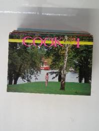 COOK 1978年4月号