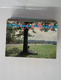 COOK 1978年5月号